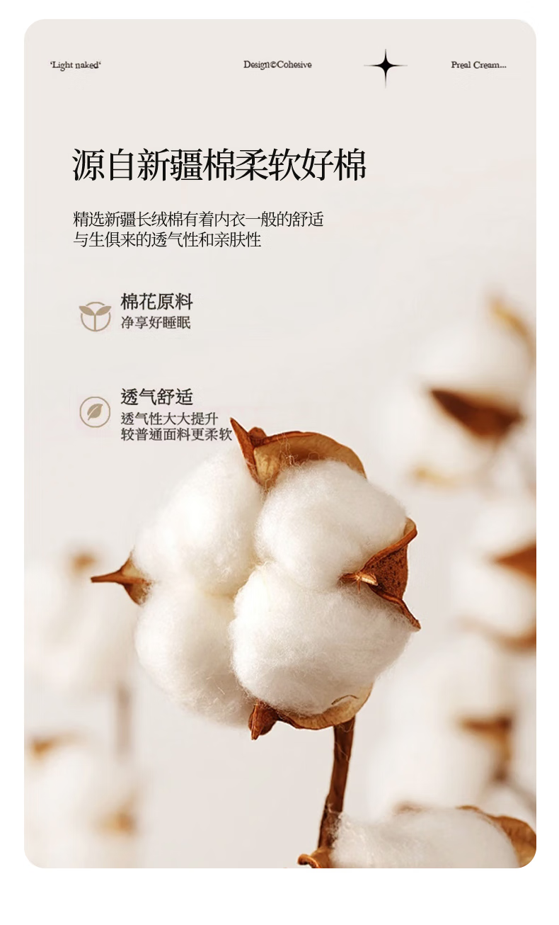 微信圖片_202503061405521.png