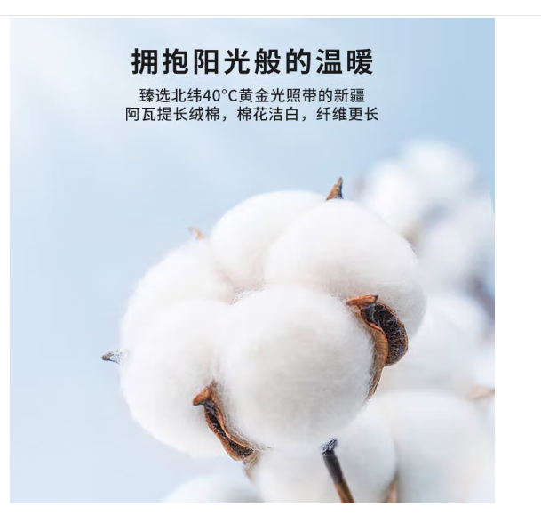 微信圖片_202503061503022.png