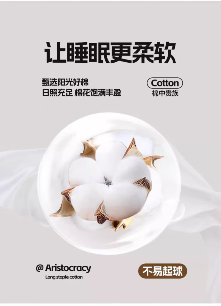 微信圖片_202503061506322.png