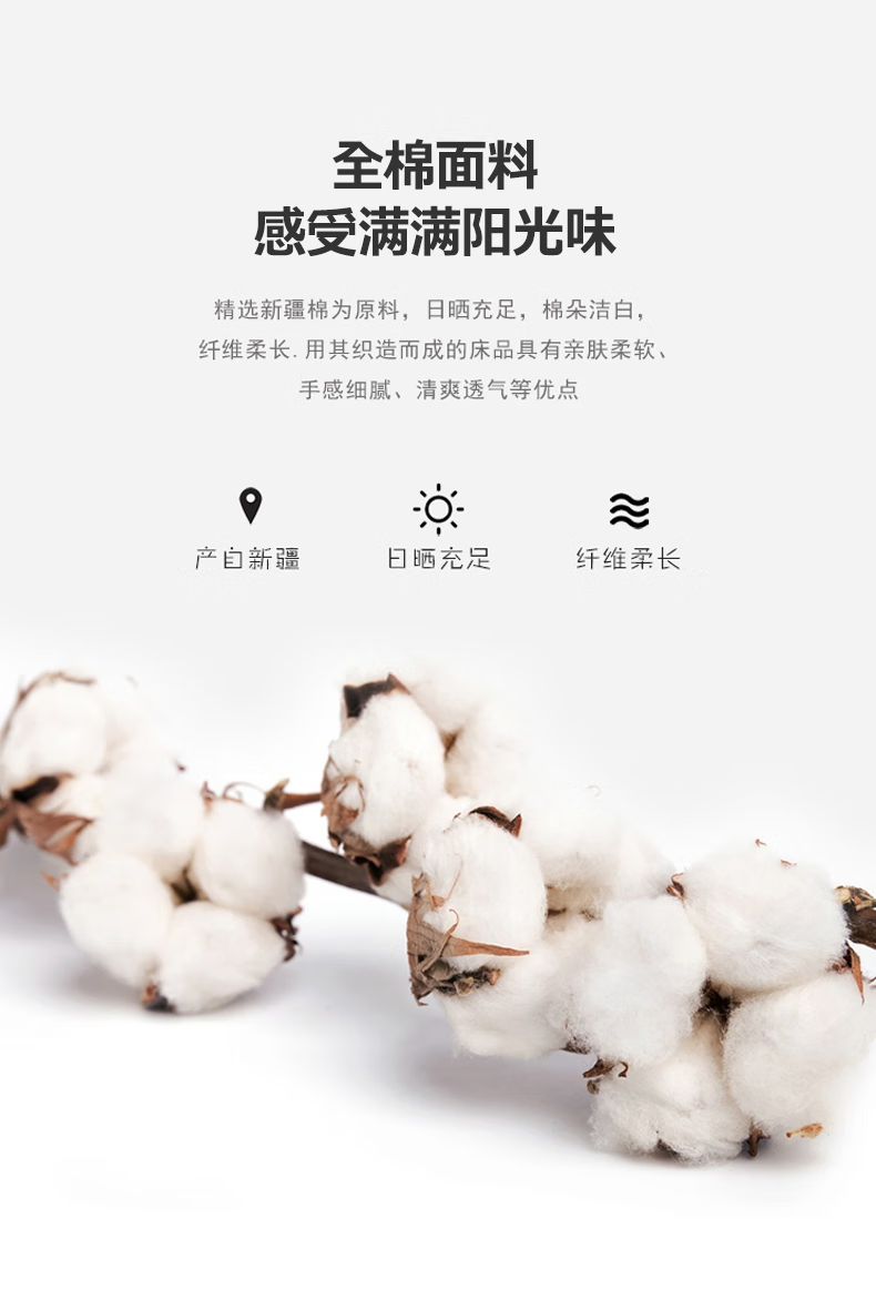 微信圖片_202503070938493.png