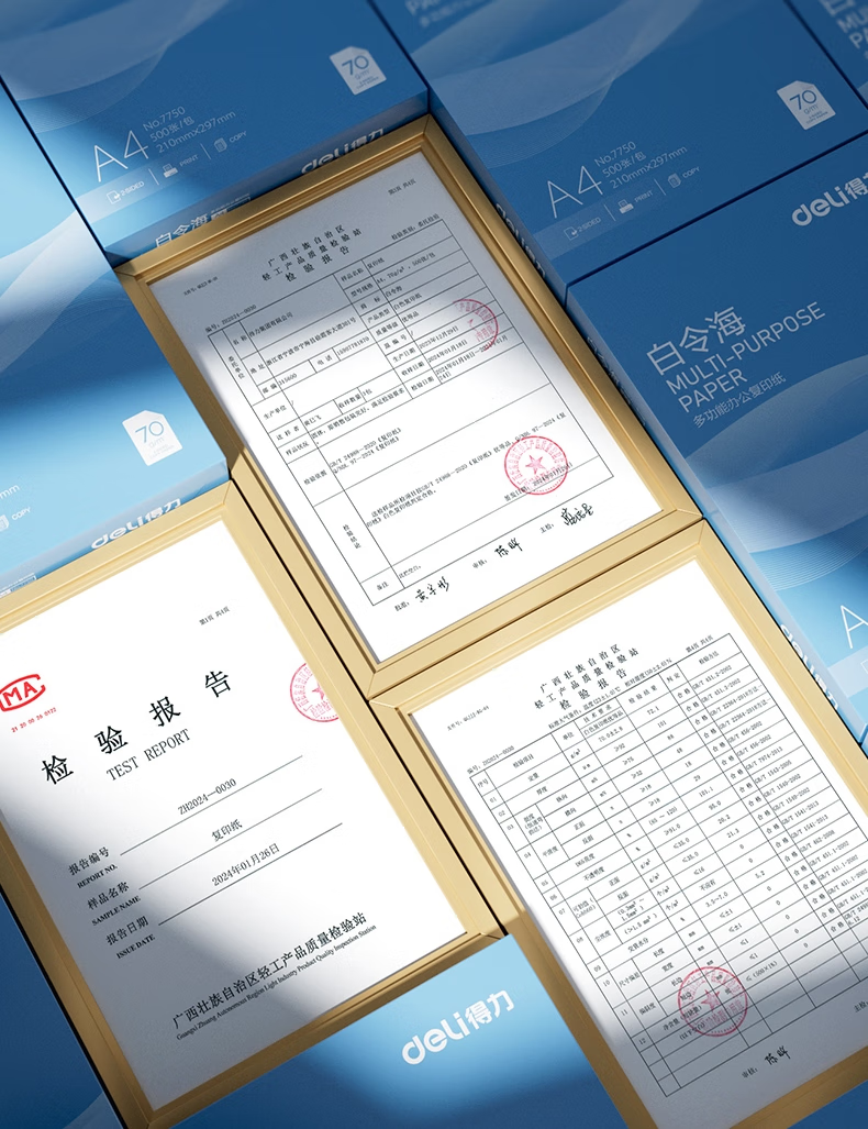 微信圖片_202503131526148.png