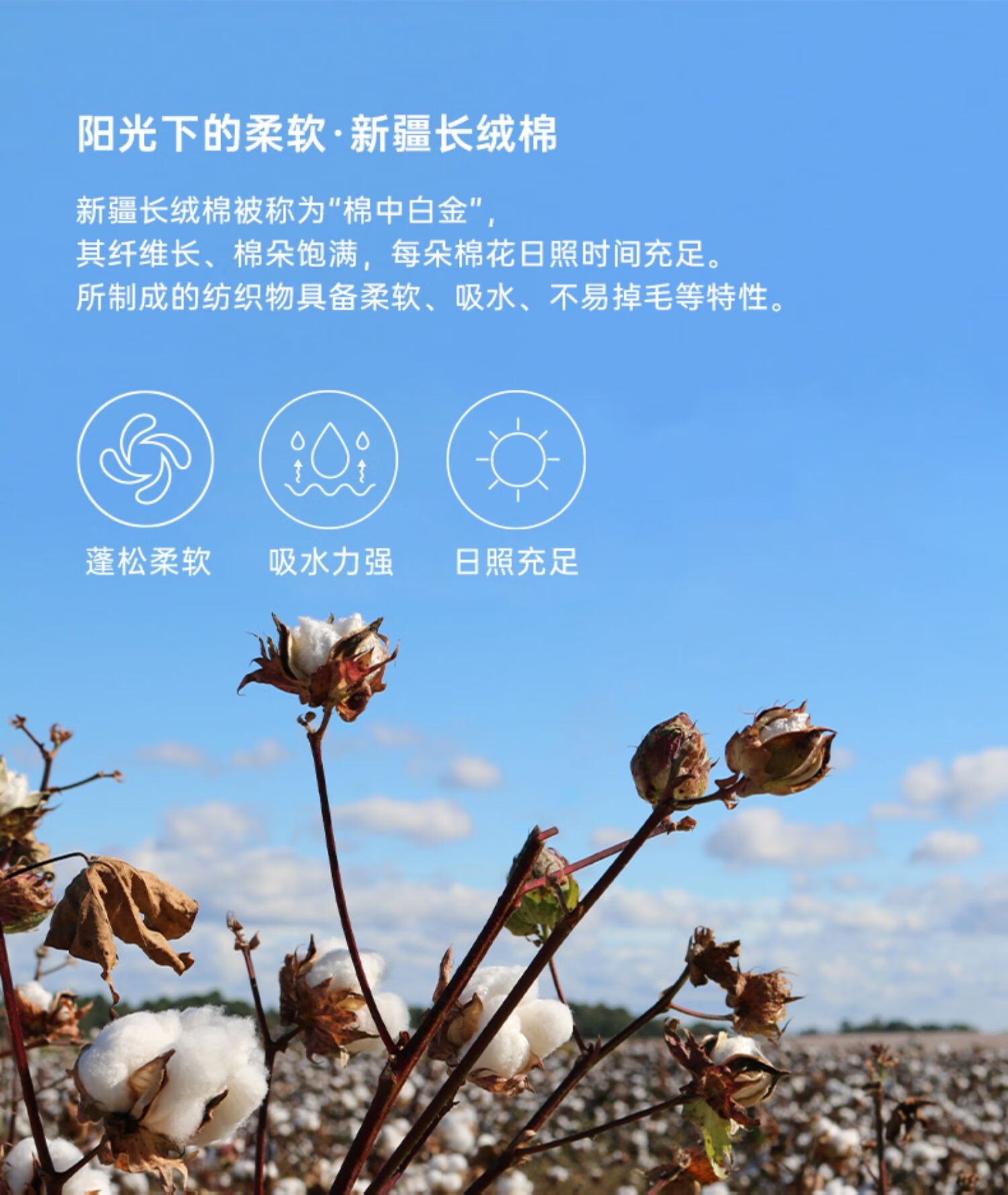 詳情圖片_07.jpg