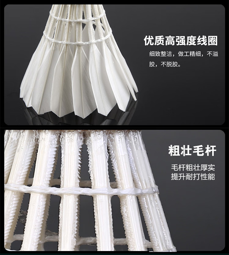 微信圖片_202504160943013.png