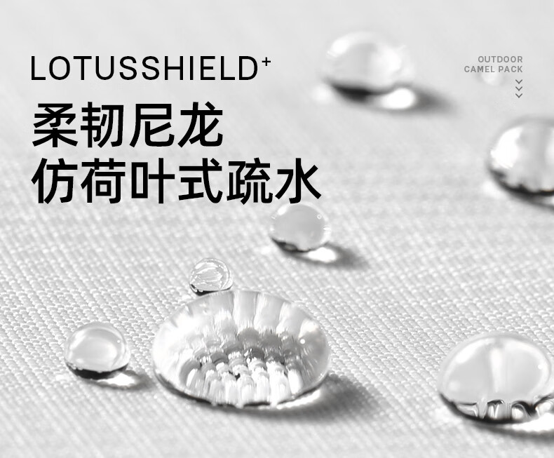 微信圖片_20250422144644_786.png