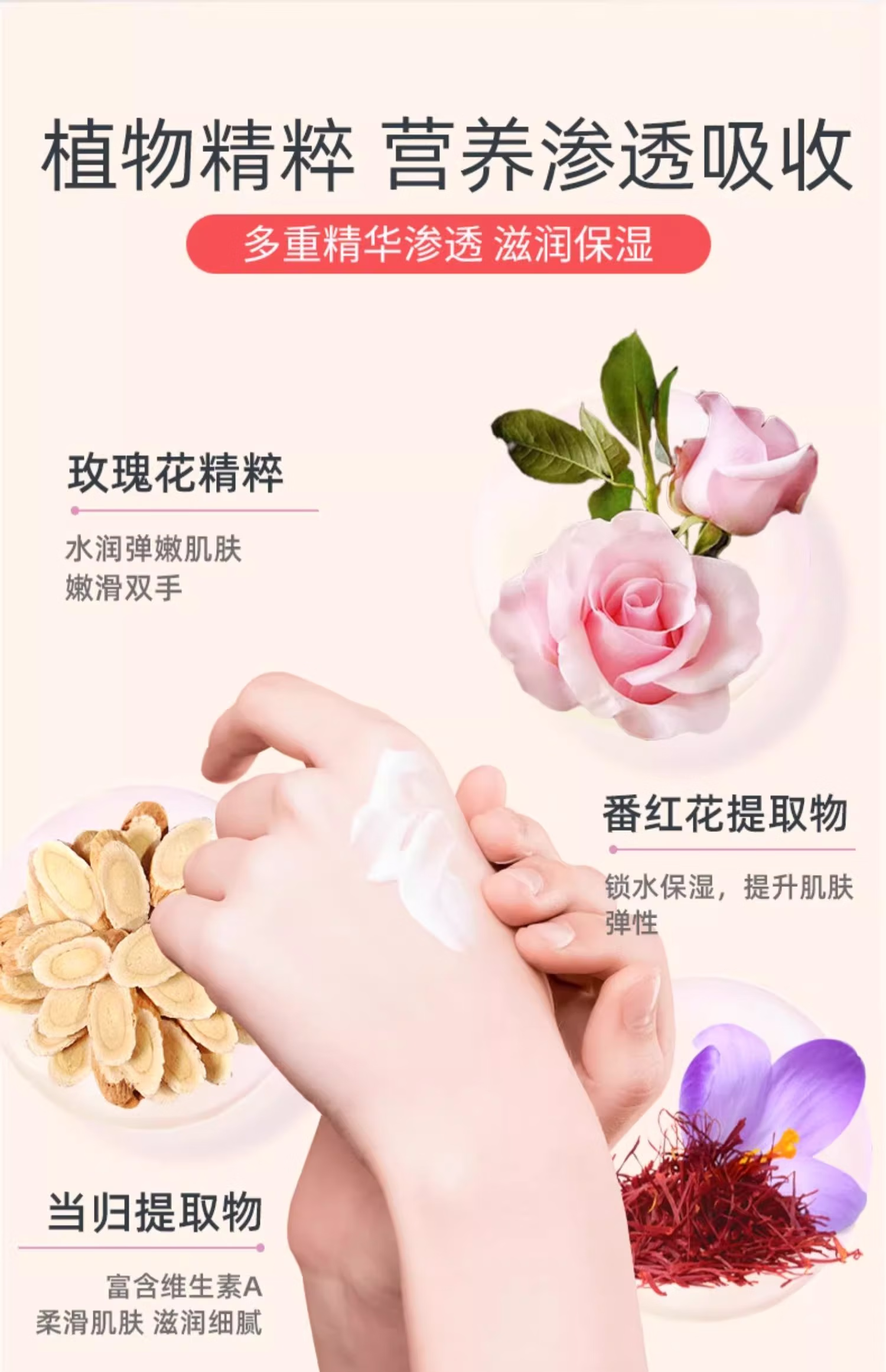 微信圖片_20250428153041_1113.png